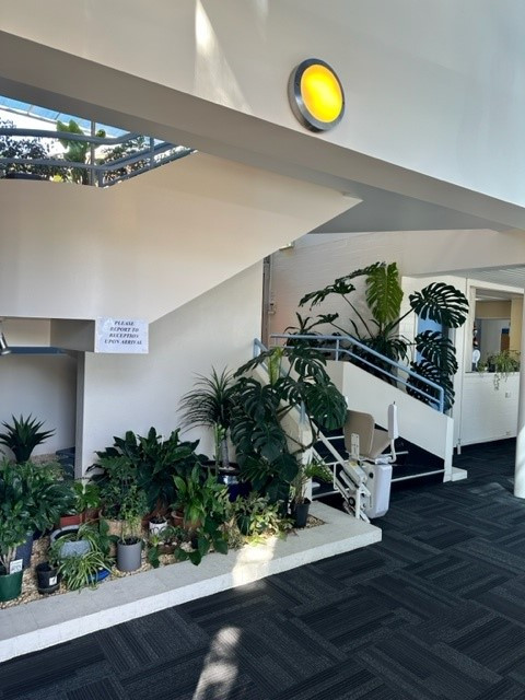 Medical room for rent Rooms To Rent Adelaide South Australia Australia
