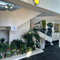 Medical room for rent Rooms To Rent Adelaide South Australia Australia